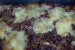 Lasagne cu sos ragu alla bolognese-0