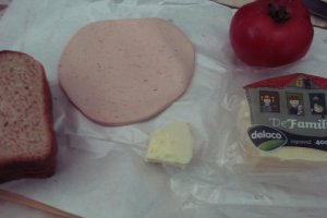 Sandvici cald cu cascaval si parizer
