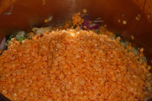 Mancare de linte cu legume