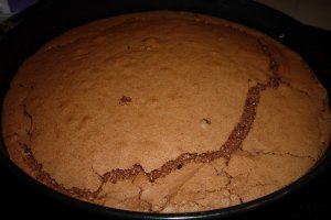 Prajitura " Cenusareasa"
