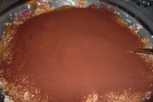 Prajitura " Cenusareasa"