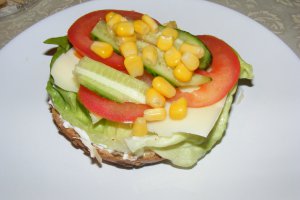 Sandwich lacto-vegetarian