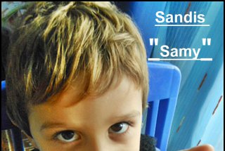Sandvis 