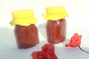 "Dulceata" de ardei iute