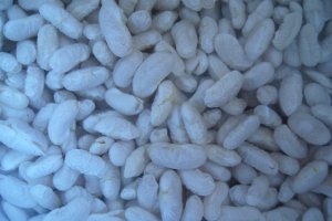 Ciorba de fasole