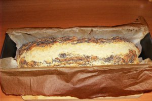 Paine de casa - rapida