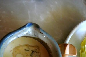 Fenicul in sos de gorgonzola