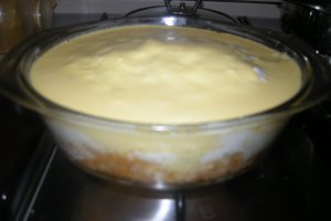 Conopida la cuptor