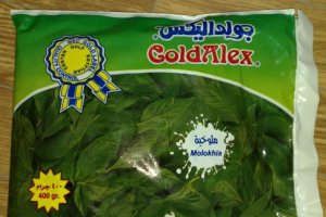 MOLOKHIA