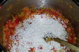 Tocana de legume cu orez