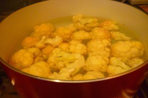 Conopida gratinata in sos Bechamel