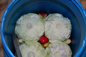 Varza murata pentru iarna