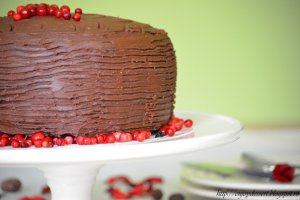 Best Ever Chocolate Cake