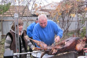 Berbecut la protap