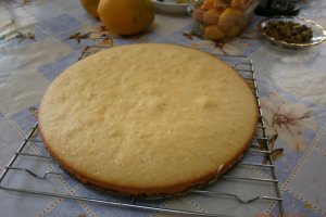 Tort cu citrice