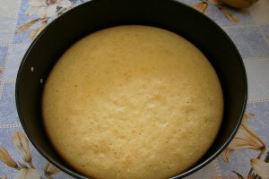 Tort cu citrice