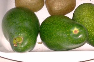 Tortulet  de avocado cu peste sabie si rosii