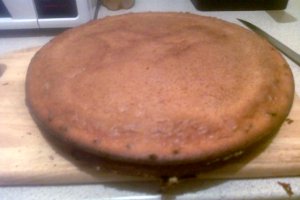 Tort