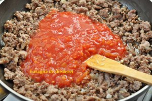 Lasagna cu dovlecei