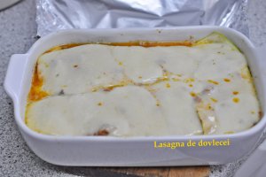 Lasagna cu dovlecei