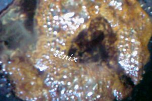 Porc tras in caramel, sos de soia si legume