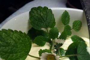 Tort cu ricotta