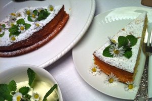 Tort cu ricotta