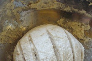 Pain rustique-Paine rustica