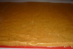 Biscuiti de iarna
