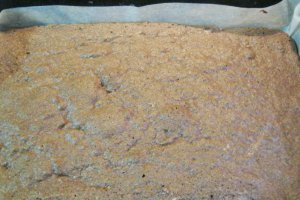 Prajitura cu crema de vanilie si fructe