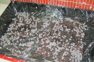 Prajitura cu crema de vanilie si fructe