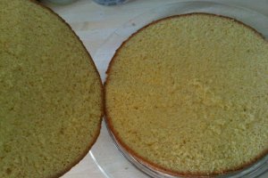 Tort in 2 culori