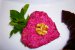 Salata de sfecla rosie specifica  Levantului -“Mutabal shamandar”-4