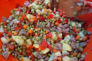 Salata bœuf