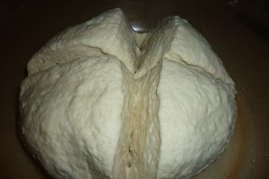 Paine trandafir