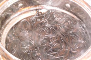 Spaghete negre