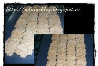 Fulgi de cocos raw