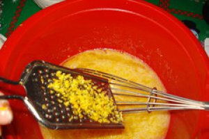 Fursecuri ROSCATA