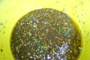 Iepure la cuptor - iepurele tuturor iepurilor