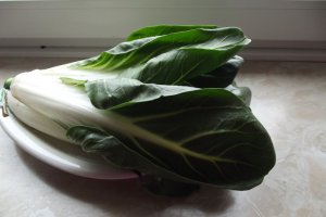 Somon cu garnitura verde