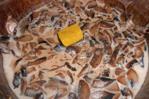 Tocanita de ciuperci (2)