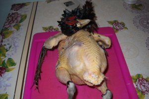 Supa de fazan