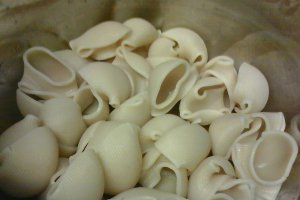 Lumaconi cu crema de brocoli