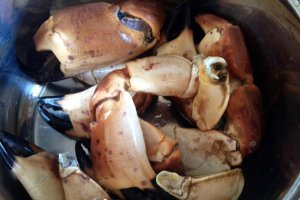 Udon picanți cu carne de crab, mentă și lămâie