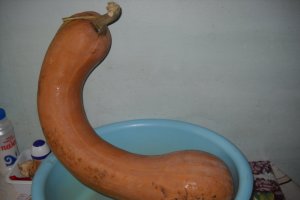 Supa crema de dovleac