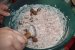 Salata de chiftele cu ceapa si maioneza-5