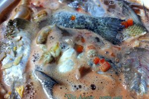 Ciorbă de peşte din caras, plătică şi păstrăv în stil pescăresc