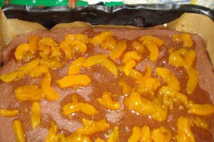 Prajitura cu dulceata de caise si glazura de galbenusuri