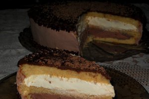 Desert tort "Duo"
