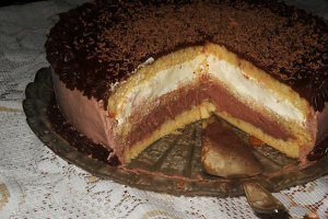 Desert tort "Duo"